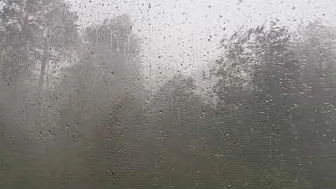Hurricane Sally - Pace, FL