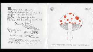 Video thumbnail of "Mushroom - Drowsey Maggie (1973)"