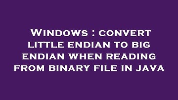 Windows : convert little endian to big endian when reading from binary file in java