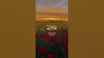 { وَجَزَىٰهُم بِمَا صَبَرُوا۟ جَنَّةࣰ وَحَرِیرࣰا } القارئ : شريف مصطفى ❤سورة : الإنسان💛#mali_emandar