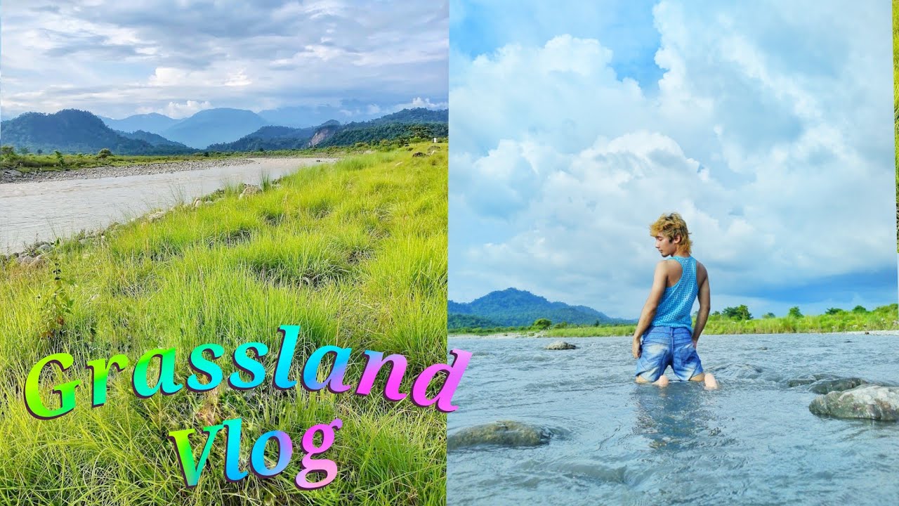 Grassland picnic spot 2023 