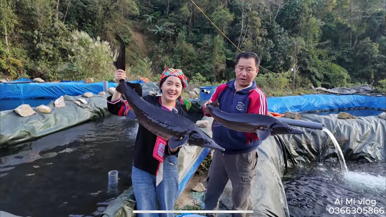 Ái Mí Dọn Nhà Đón Tết Và Bắt Cá Tầm Khủng nhất Ao Gửi khách 