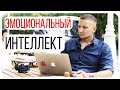 Эмоциональный интеллект/Agile/Взаимоотношения с людьми/Будущее человечества