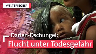 Darién-Gap: Die gefährlichste Fluchtroute der Welt | Weltspiegel