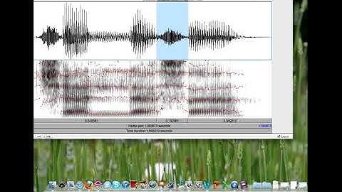 PRAAT 4  Getting help with formants and f0