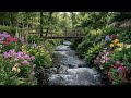 Sound Relaxation Therapy 8D for Gentle Calm