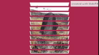 Dang Sanggup.Cipt, Voc, Arr Bonaga sinaga