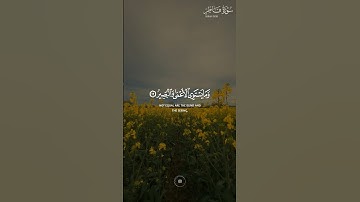 وما يستوي الأعمى والبصير || سورة فاطر || حالات واتس اب قرآن || القارئ #ياسر_الدوسري 🍃