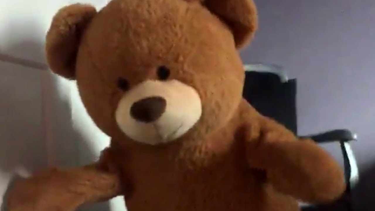 teddy bear person