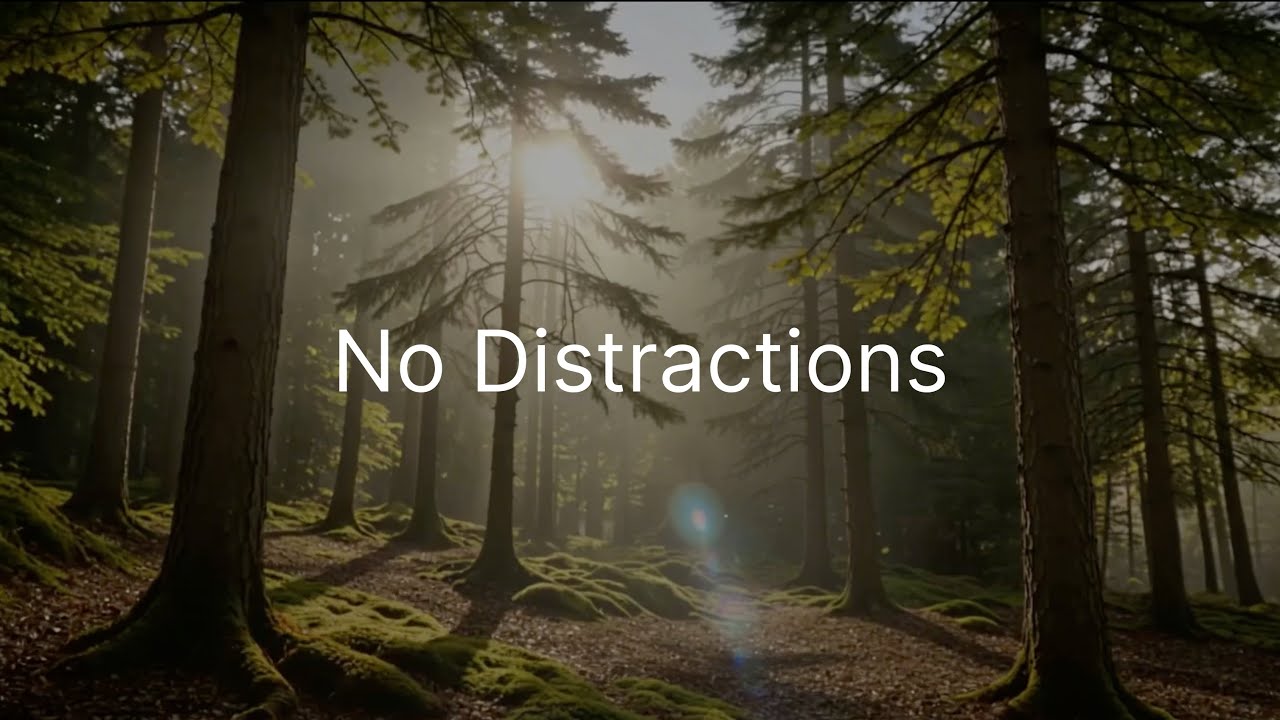 Focus Music • No-Distraction Background Music for Deep Work, Concentration & Maximum Productivity 