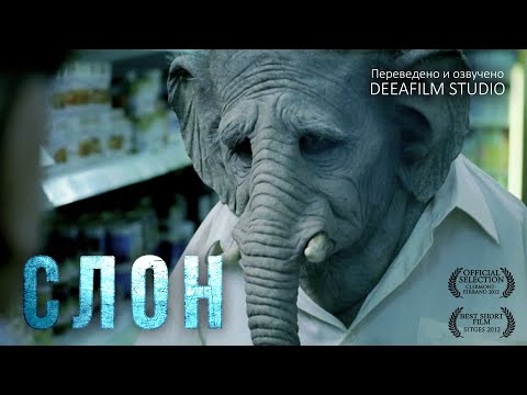 Короткометражный Фильм «Слон» | Озвучка Deeafilm