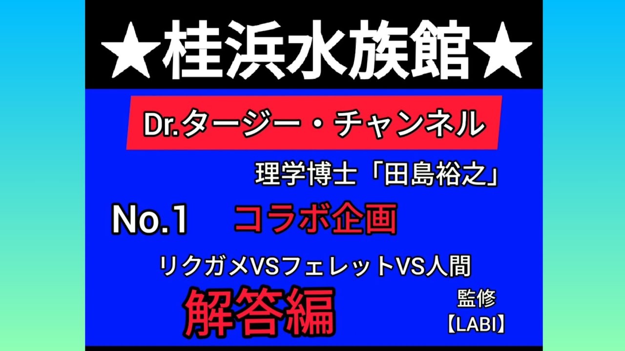 No 1 解答編 桂浜水族館 Dr タージー コラボ企画 リクガメvsフェレットvs桂浜水族館飼育員 Youtube