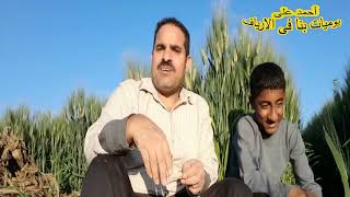 عمر طلع فاكر