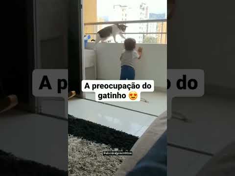 Gatinho preocupado salva vida de criança!