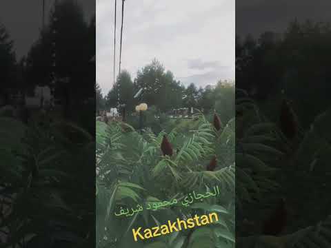 كازاخستان مرشد سياحي في الماتي تلفون 77778283000 محمود شريف
