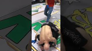 THIS is why Referees should train in MMA