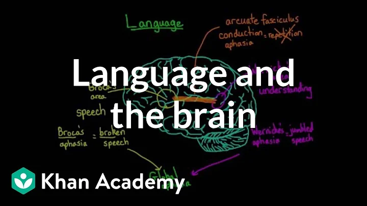 Language and the brain: Aphasia and split-brain patients | MCAT | Khan Academy - DayDayNews