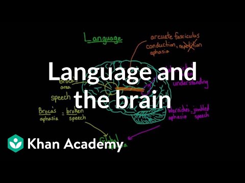 زبان اور دماغ: Aphasia اور تقسیم دماغ کے مریض | MCAT | خان اکیڈمی