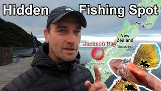 Secret FISHING SPOT on the South Island of New Zealand