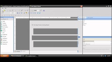 SI5.5 Modifying the Project Summary