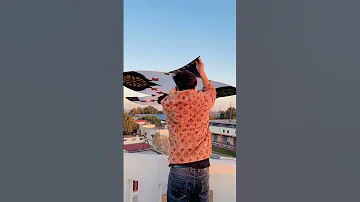 6 Feet Kite Flying Kite Fight Patang Kite Kiteflying 
