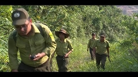 Siết chặt công tác quản lý bảo vệ rừng tuyến đường 71