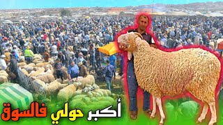 ماهي الأضاحي التي لا تجوز للذبح في العيد..؟؟ / جولة في سوق الغنم بجهة وجدة oujda