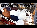 Ярмарка голубей Самара 03.04.2022г