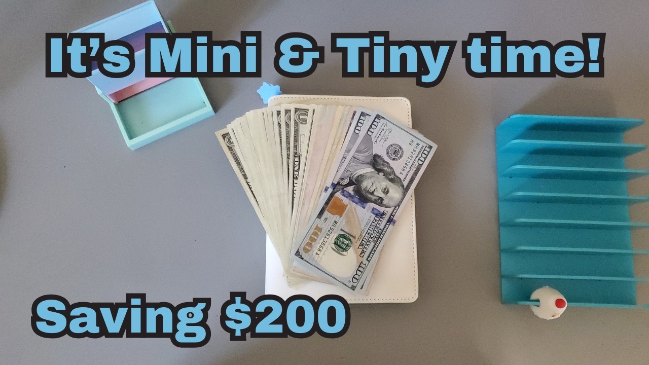 It's Mini and Tiny Time! | Feb. 24th | Randomizer #savingschallenges #minis