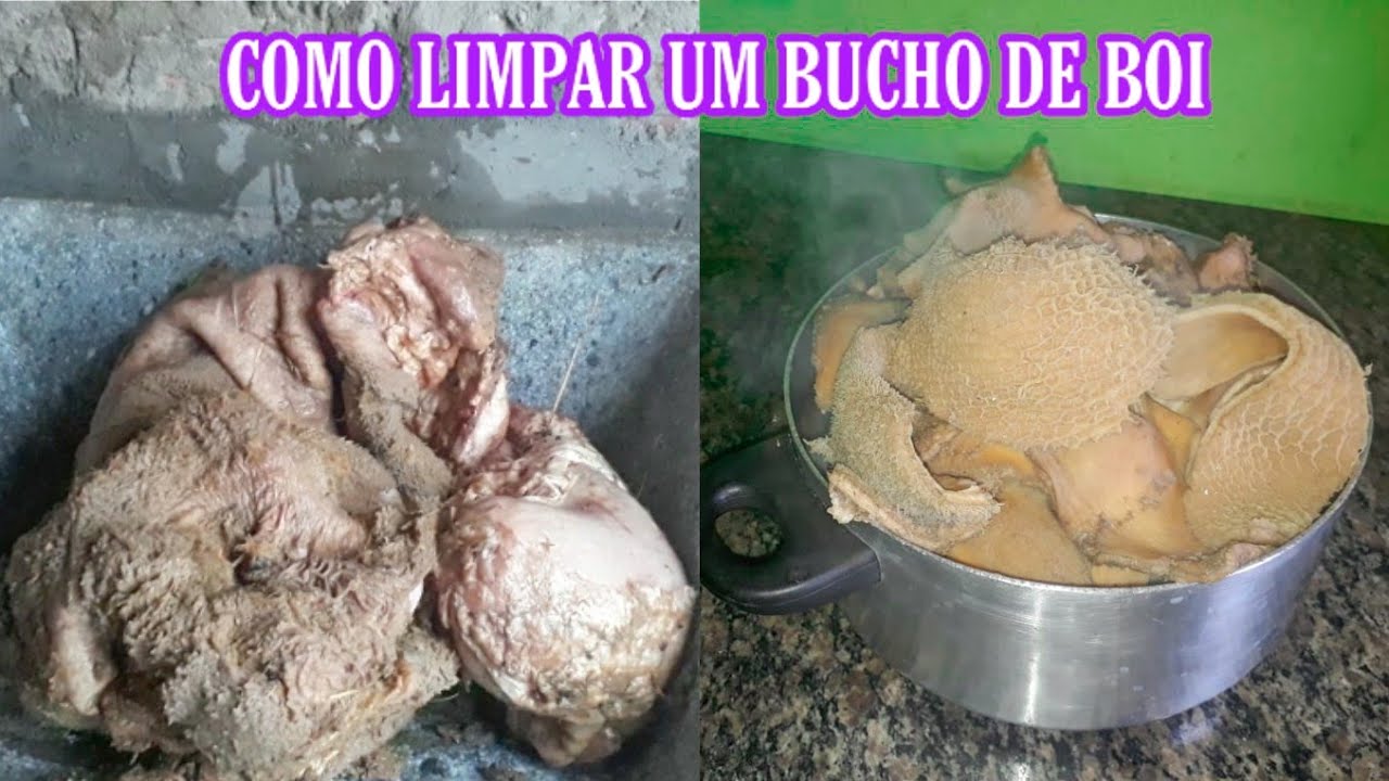 COMO LIMPAR UM BUCHO DE BOI EM CASA! - YouTube