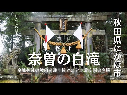 【奈曽の白滝】豪快な滝に感激…滝の岩盤はなんと鳥海山の溶岩!金峰神社の境内を歩きたどり着く国の名勝【秋田県にかほ市】