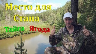 В Сибирскую тайгу за ягодой! Поиск места для лагеря.