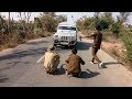 પોલીસે રોકી બાપુ ની ગાડી જુઓ સુ થાય છે/Gujarati Comedy Video
