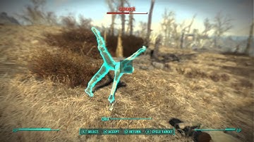 Fallout Matrix Glitch!!!