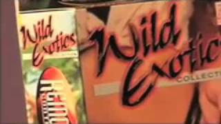 Wild Exotics Remote Control Vibrating Panty screenshot 2