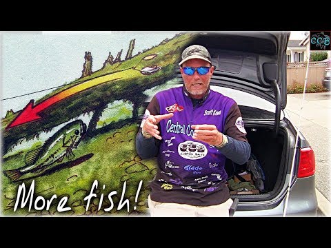 happy fishing day If your not *PINNING BASS*, you SHOULD BE!!!!!
