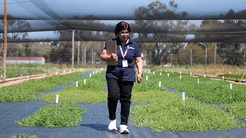 Advancing agricultural research and innovation: Dr Kawsar Salam