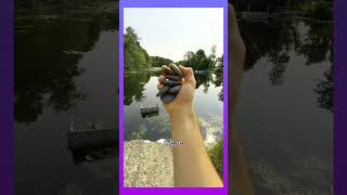 Illegal Rock Skipping Trick ☠️#shorts#gadgets#viralshorts#phonk #oldies