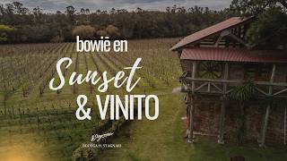 bowiē en sunset y vinito | Bodega H. Stagnari 2026