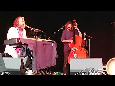 HOTHOUSE FLOWERS -