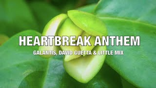 Galantis, David Guetta & Little Mix - Heartbreak Anthem - Lyrics