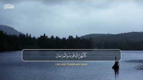 Surah Ar Rahman   تلاوة بصوت عذب جداً من سورة الرحمن للقارئ حمدي صلاح