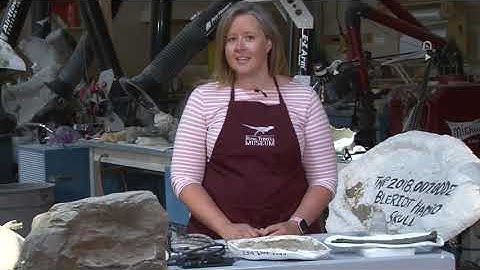 RTMP Behind the Scenes with Lorna O