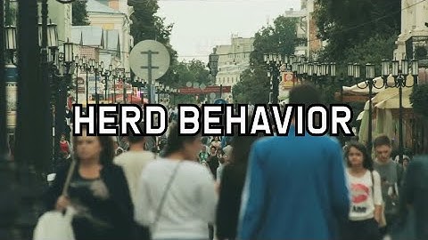 Herd Behavior: Following the Crowd