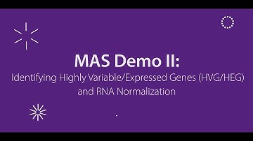 MAS Demo II: Identifying Highly Variable/Expressed Genes (HVG/HEG) and RNA Normalization