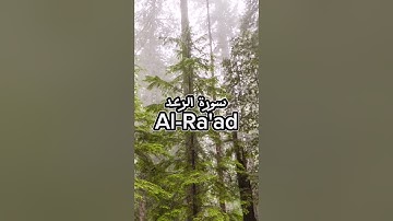 سورة الرعد | ياسر الدوسري تلاوة خاشعة القرآن الكريم Quran #مصحف #تلاوة #قناة_اليوتيوب #Mus7aff