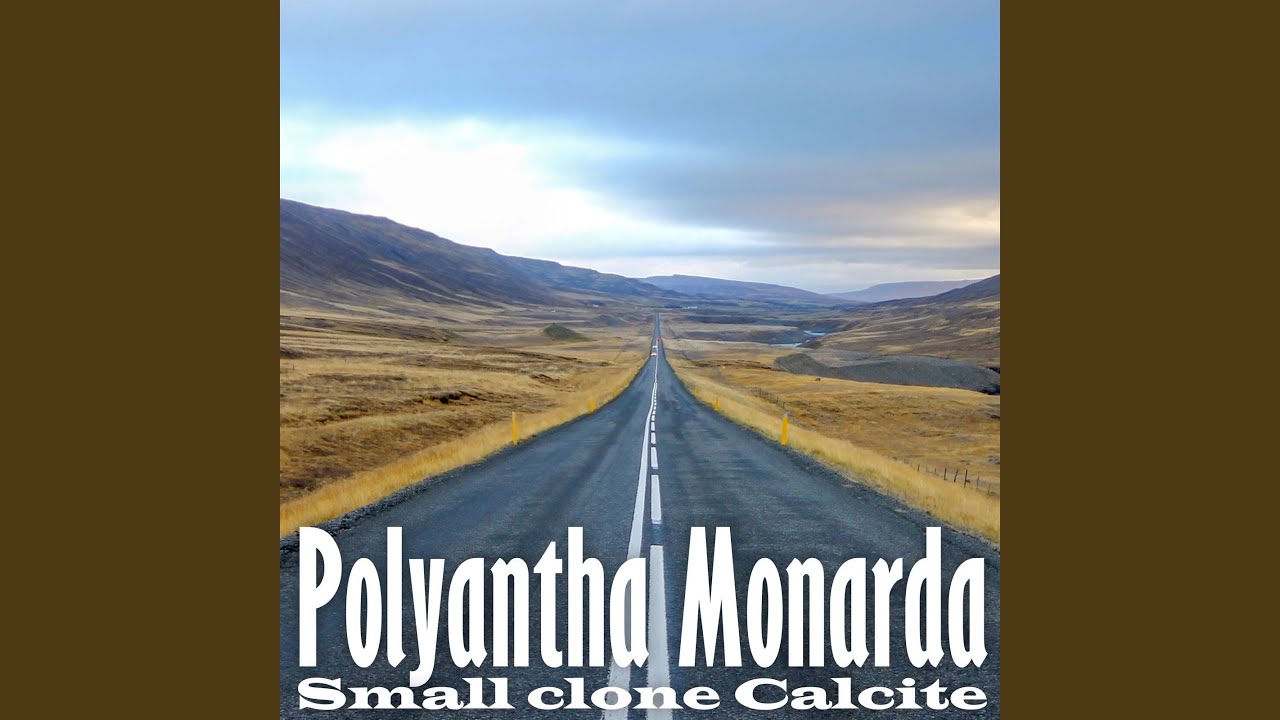 Heliotrope Rockfoil do Brackens