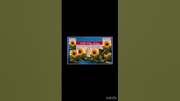 سورة غافر - سورة 40 - اية 03