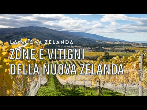 Video: Nuova Zelanda Vitigni e stili di vino