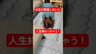 お金の勉強で人生変わろう！　 #家計管理 #お金  #育児